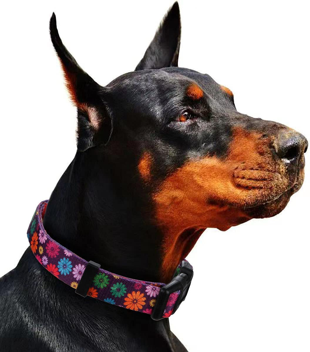 Girl Dog Collars Spring Cute Daisy Flower Pattern Lovely Print and American Flag Print Dog Collar