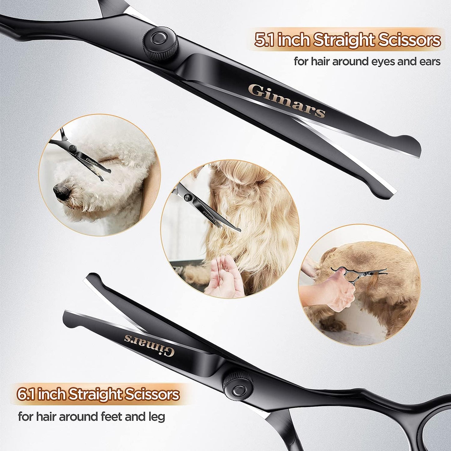 4CR Stainless Steel Safety round Tip 6 in 1 Professional Dog Grooming Scissors Kit, Heavy Duty Titanium Coated Straight & Thinning & Curved Shears & Comb Set for Dog & Cat Grooming